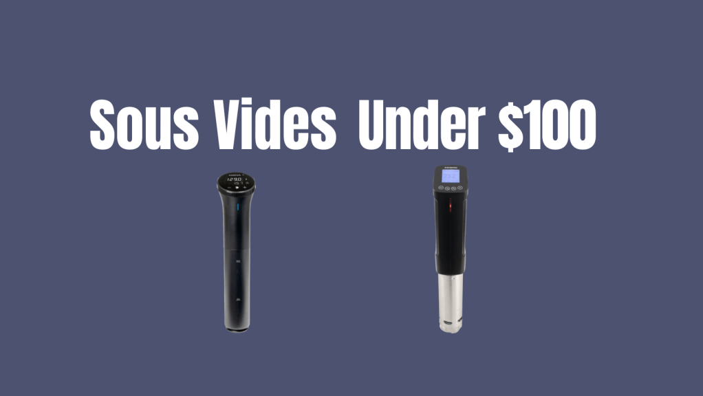 Best Sous Vide Under&nbsp;$100